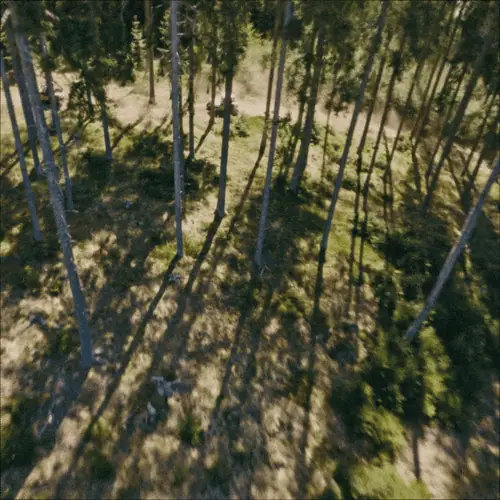 Looping cut from the Red Bull project